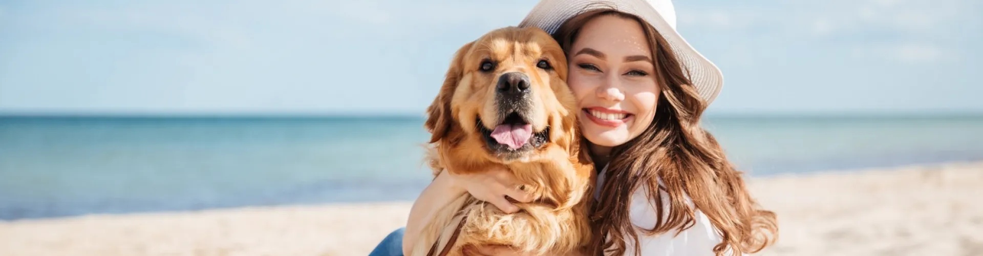 conseils-traitement-chiens-chat-été